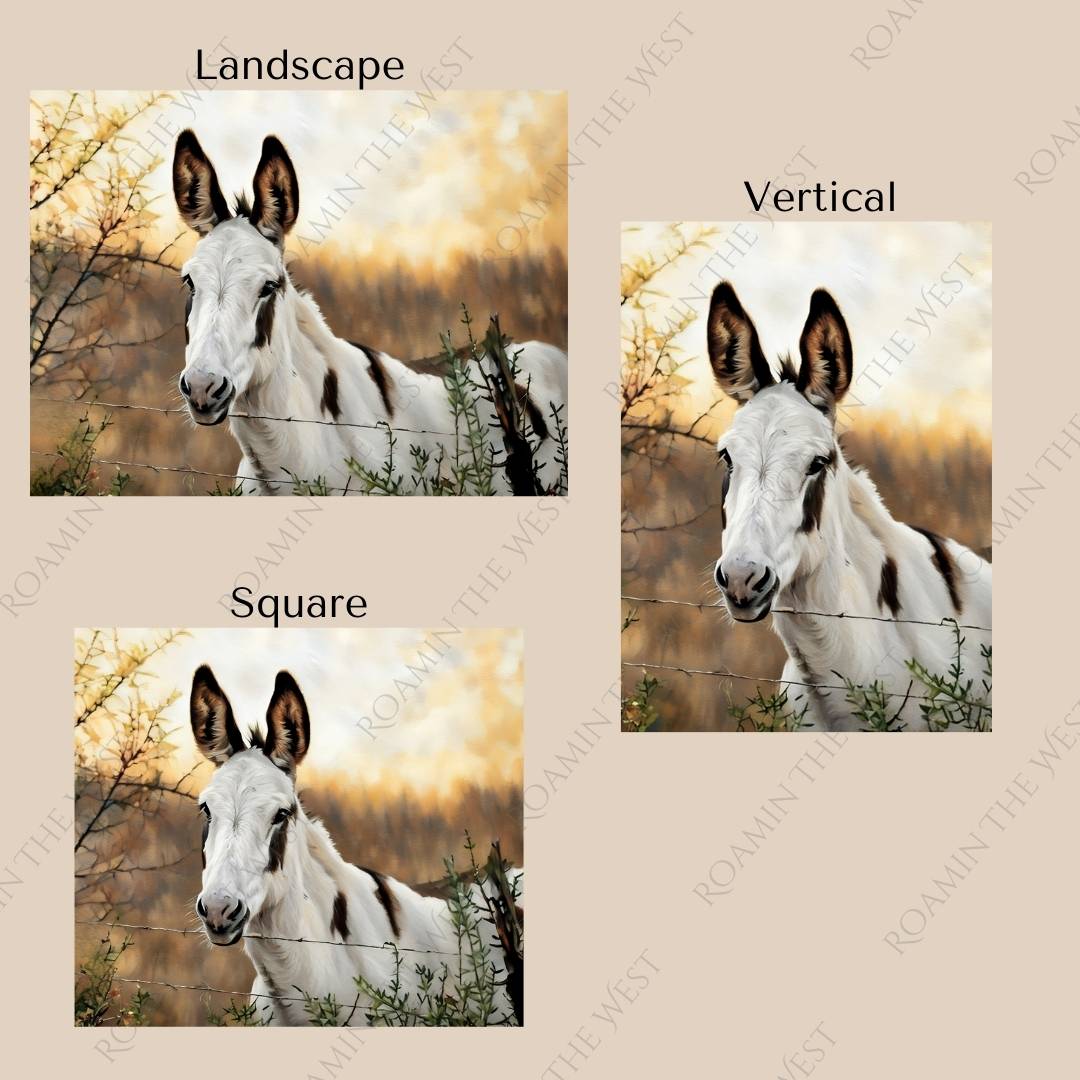 Donkey #1 image file download for western upholsterers and creatives showing aspect ratios