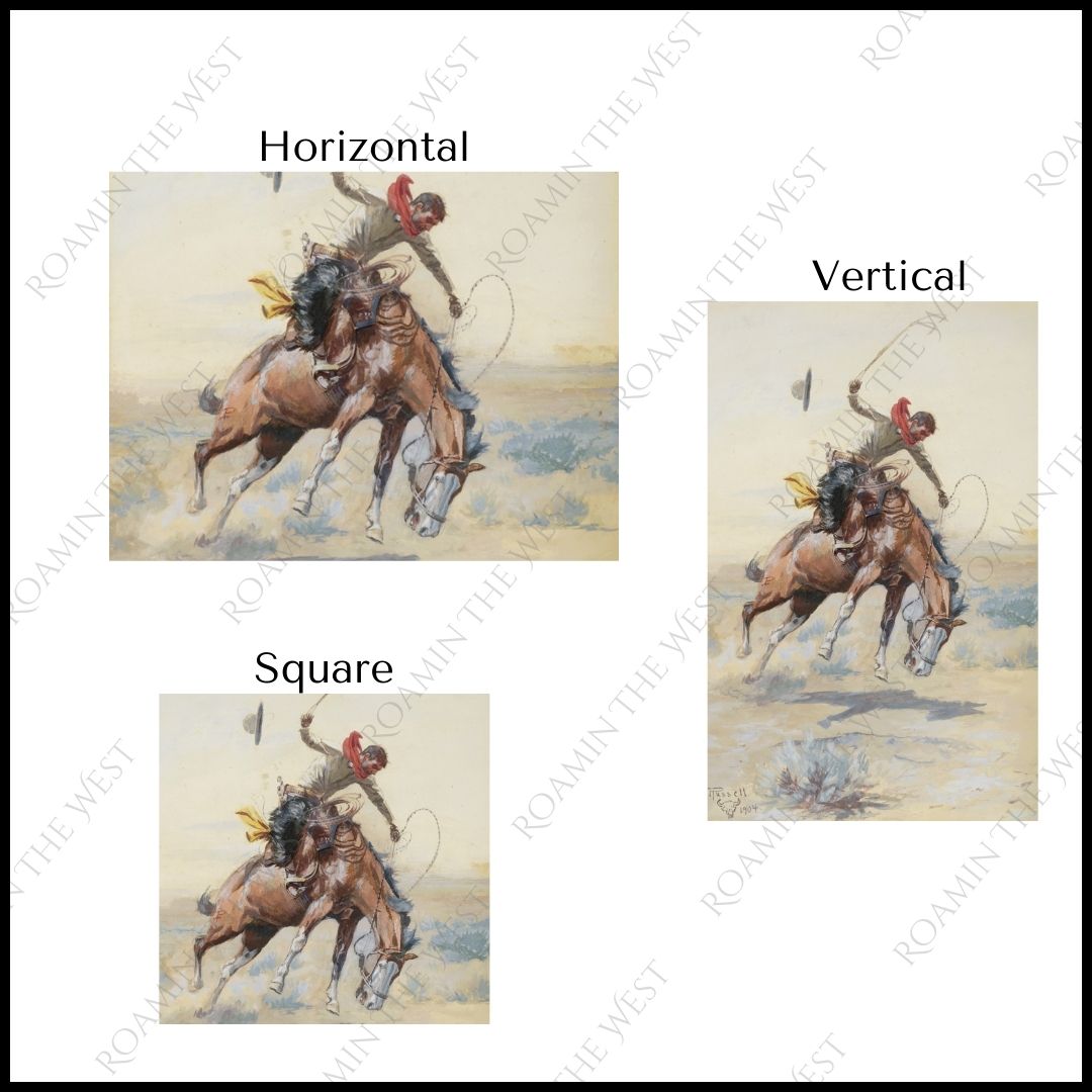 Paint horse bucking image file download for western upholsterers showing aspect ratios