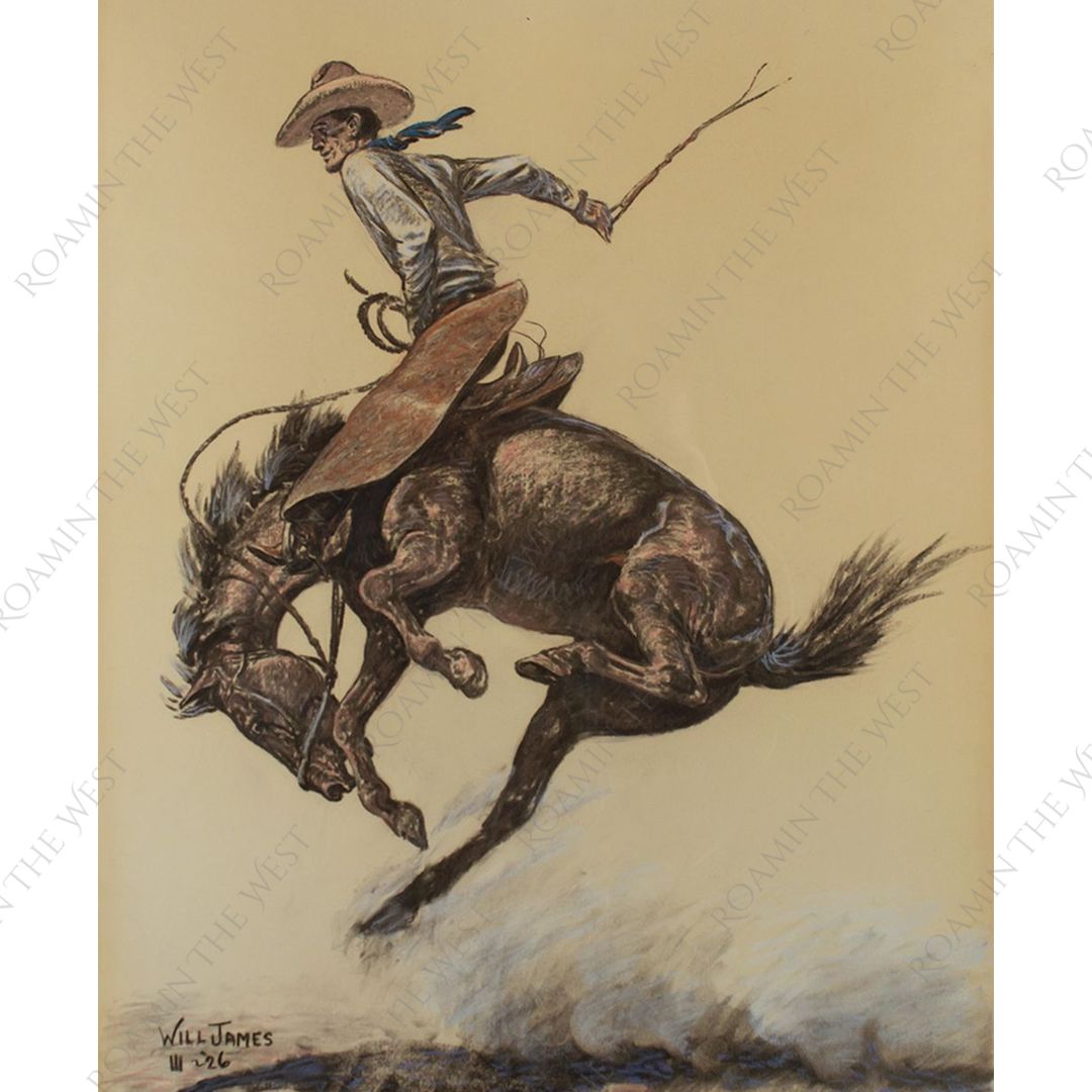 cowboy riding bay bucking horse image for western upholsterers