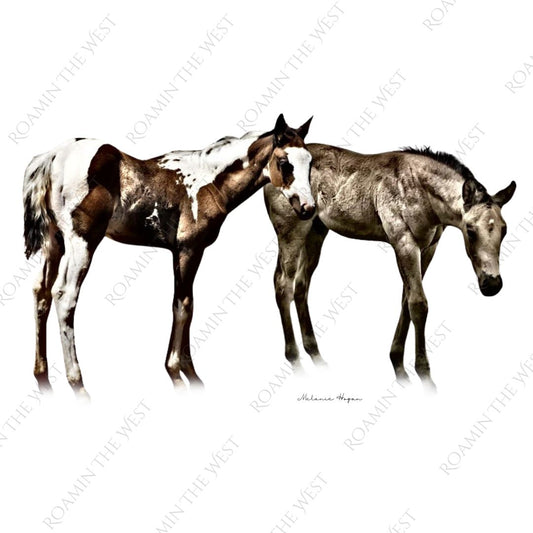 Two foals premium image formatted to your required size ready for your next western upholstery project.