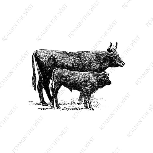 On The Ranch 1